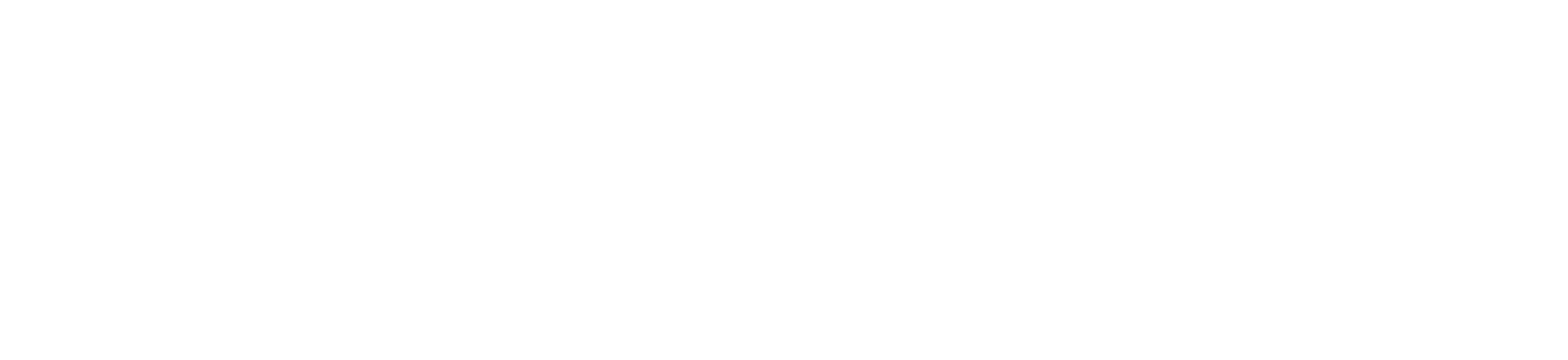 Viaan Logistics Solution